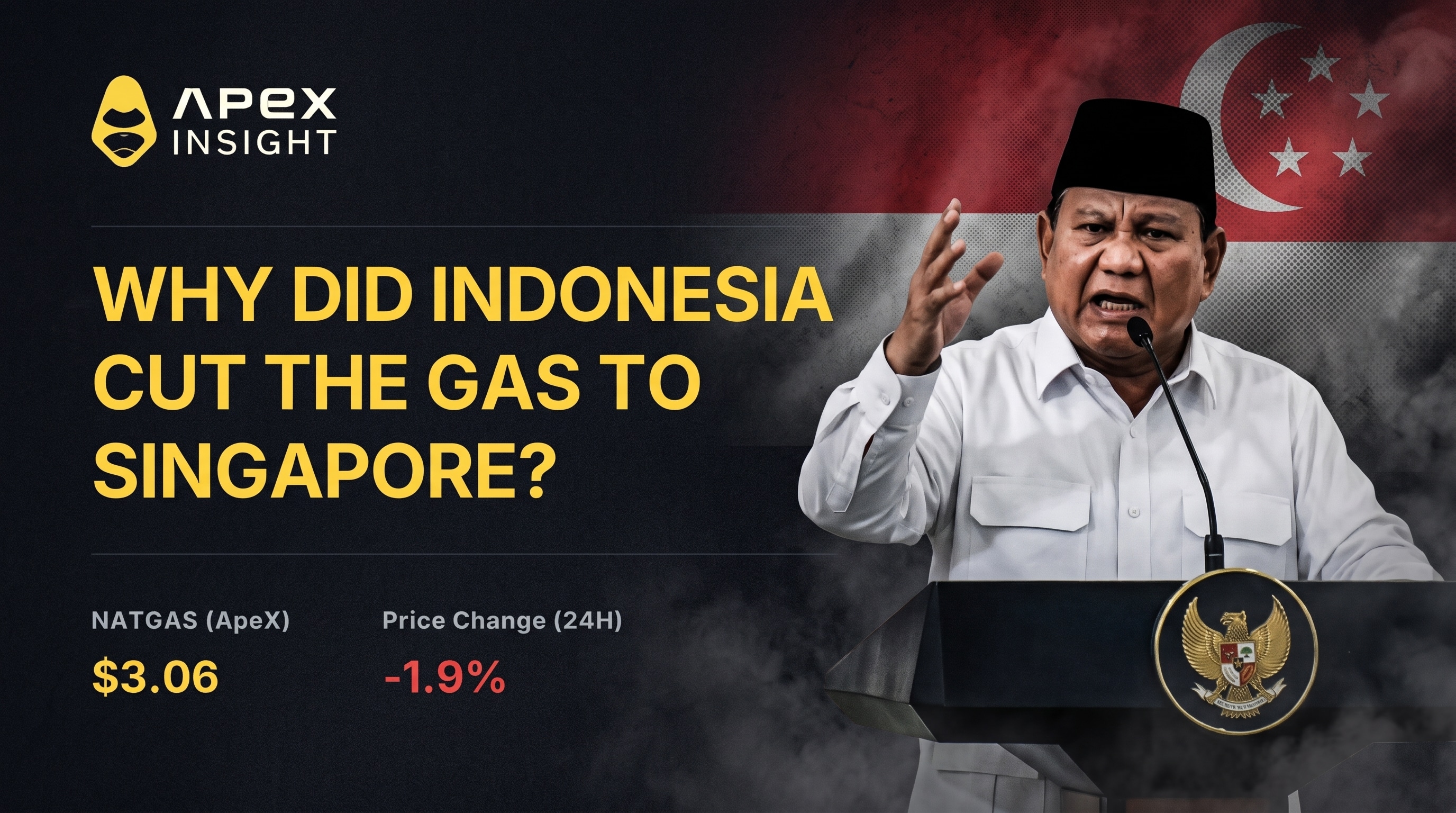 Why Did Indonesia Cut the Gas to Singapore?